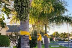 IMG-20220719-WA0003